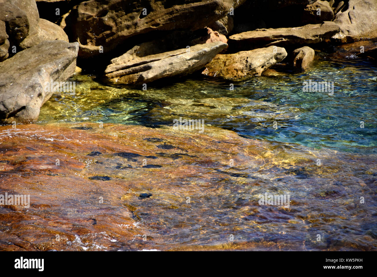 Clovelly Bay,Rocce e acqua Sydney, Nuovo Galles del Sud, Australia Foto Stock