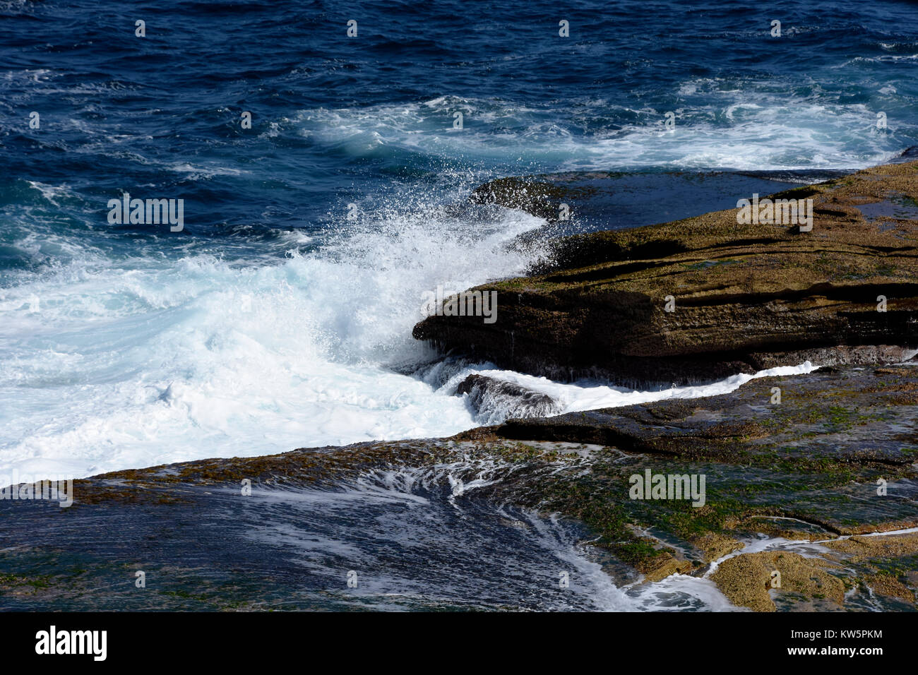 Le onde e le rocce a Clovelly Bay, Sydney, Nuovo Galles del Sud, Australia Foto Stock
