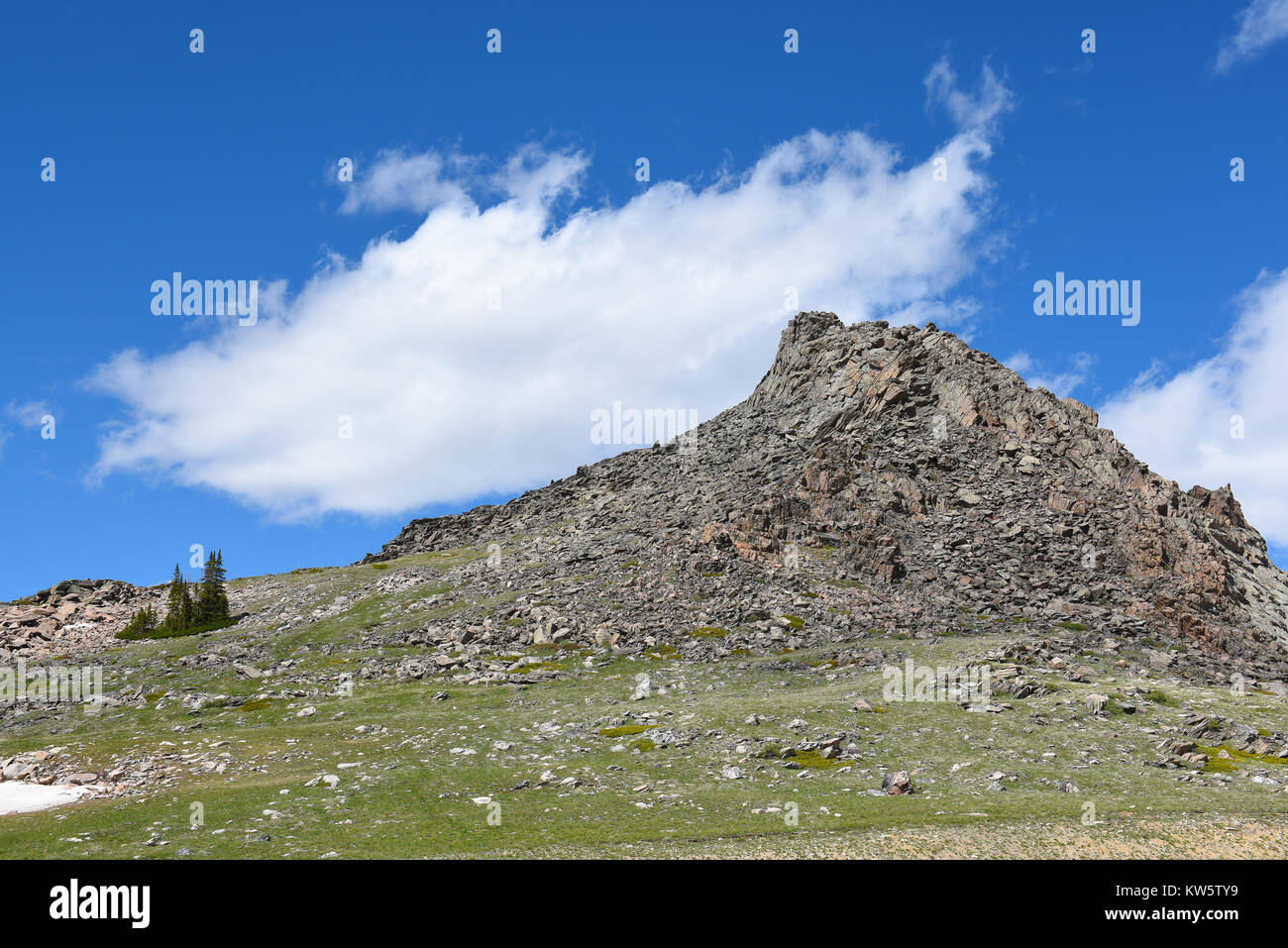 Roccioso a picco sul fiume di polvere passano nella Bighorn National Forest, Wyoming. Foto Stock