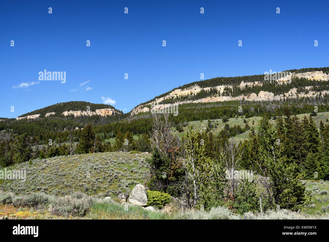 Paesaggio panoramico Beartooth Mountains, Wyoming. Foto Stock