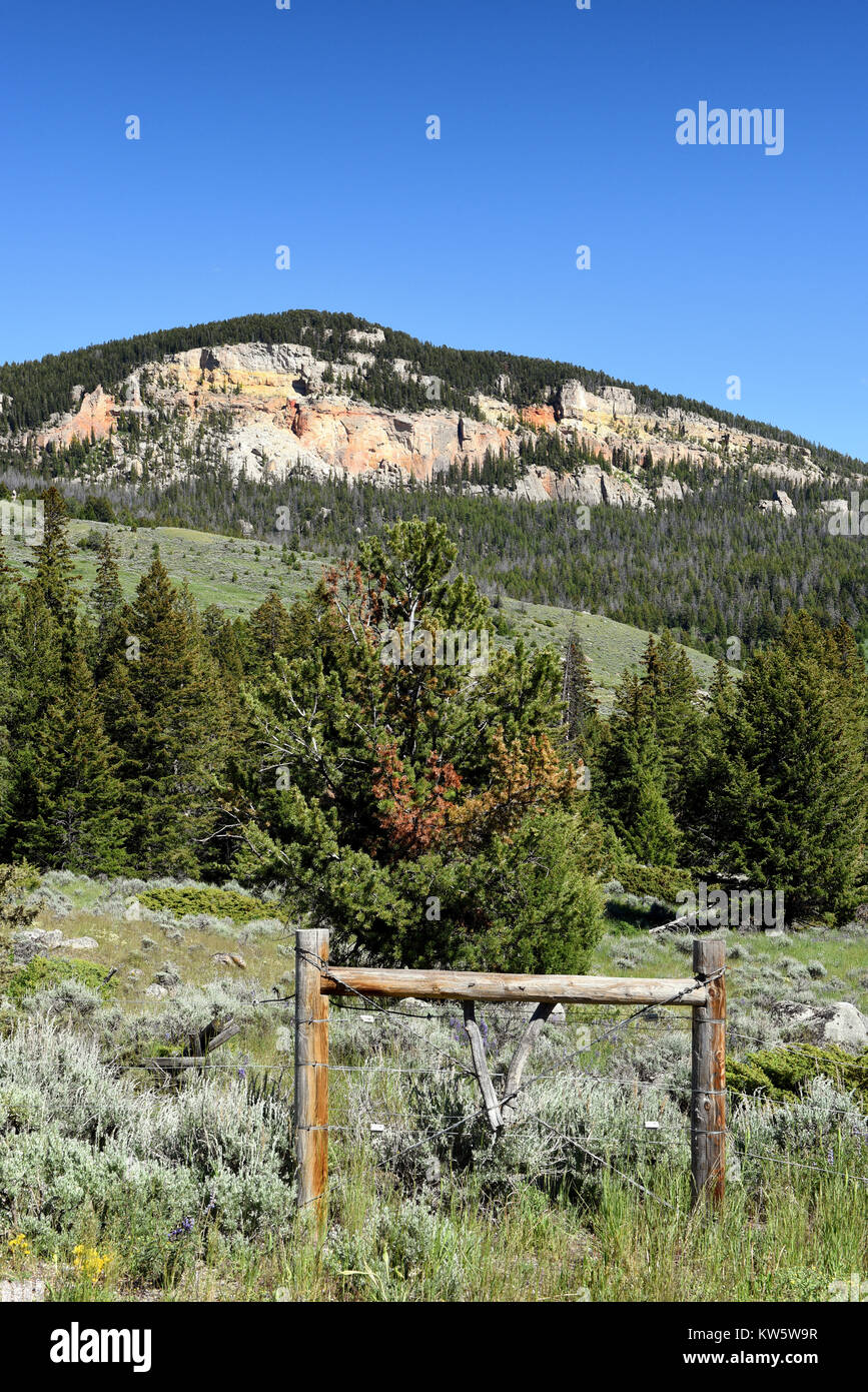 Scenic paesaggio verticale della Beartooth Mountains in Wyoming Foto Stock