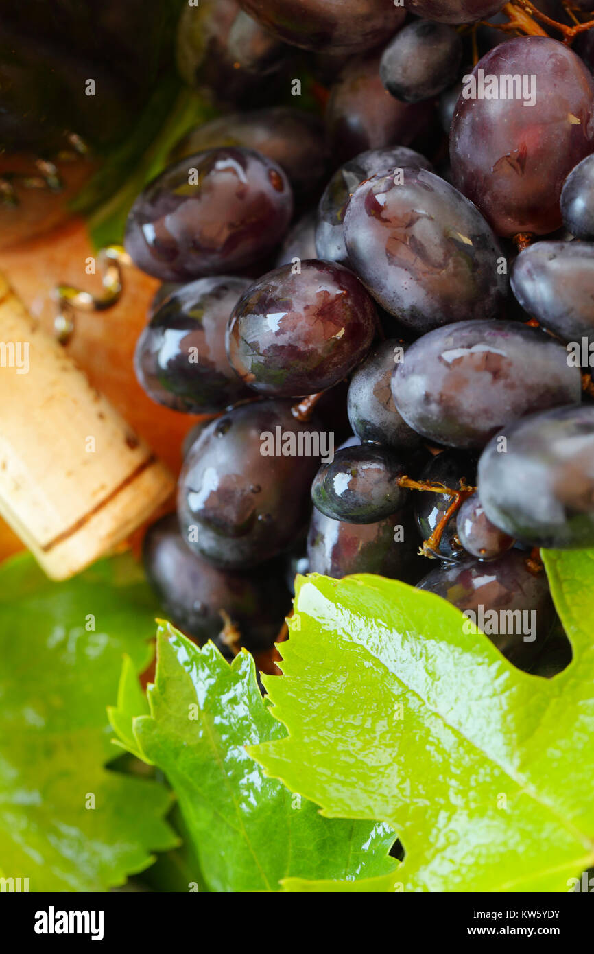 Uva rossa e foglia - macro, sfocate sullo sfondo del vino Foto Stock