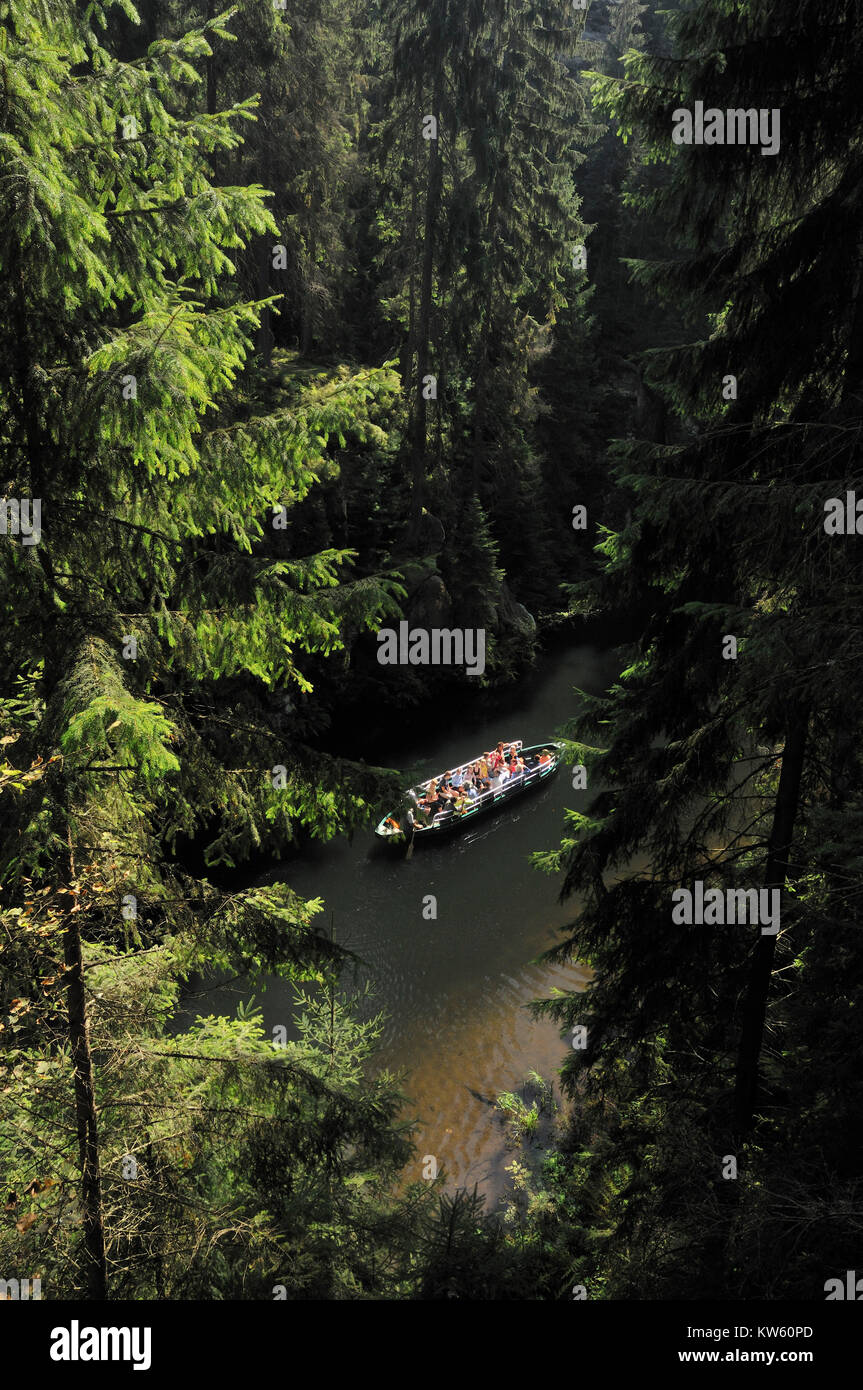 Elbsandstein Kirnitzschklamm Foto Stock