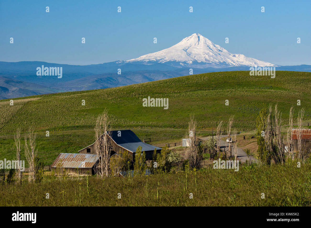 Columbia Hills zona naturale originale edifici ranch Foto Stock