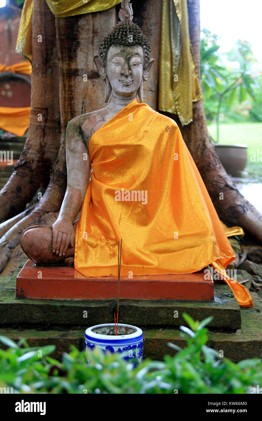 Il Buddha sotto agli alberi in Wat Mae Nang Pleum, Ayutthaya, Thailandia, Foto Stock