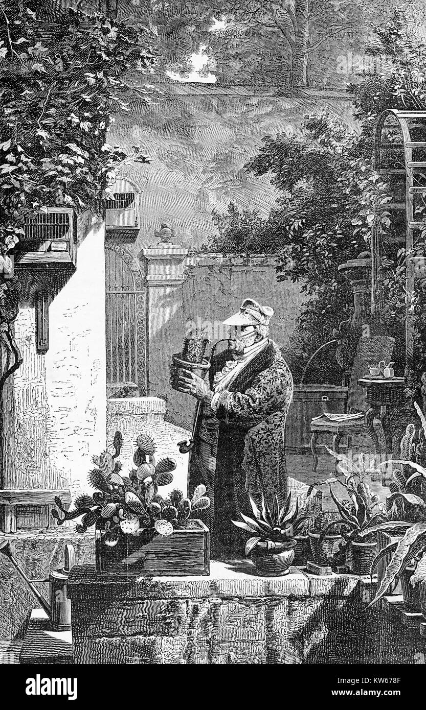 Cactus amico, incisione vintage in rappresentanza di un famoso dipinto di Carl Spitzweg (1808-1885), importante pittore bavarese e caricaturista Foto Stock