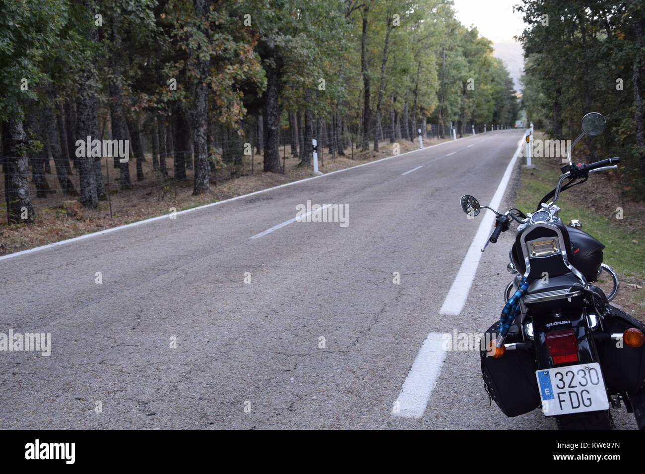 Ovunque ci si trovi. Un Road in direzione verso il basso nel bosco Foto Stock