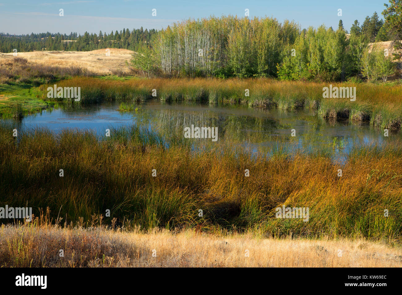 Scabland stagno, Fishtrap Recreation Area, Contea di Spokane, Washington Foto Stock