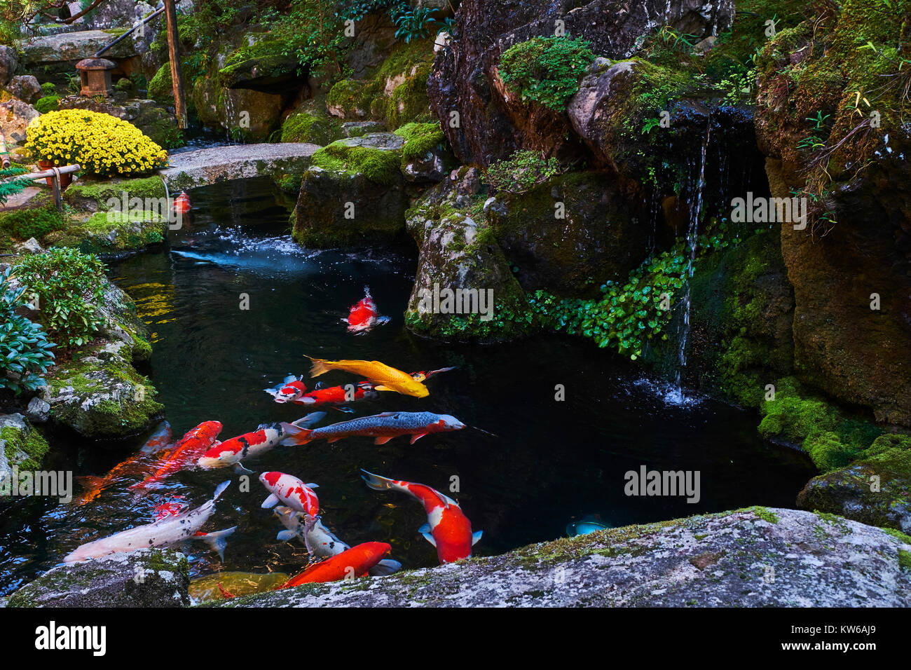 Giappone, isola di Honshu, la regione di Kansai, Kyoto, giardino zen Foto Stock