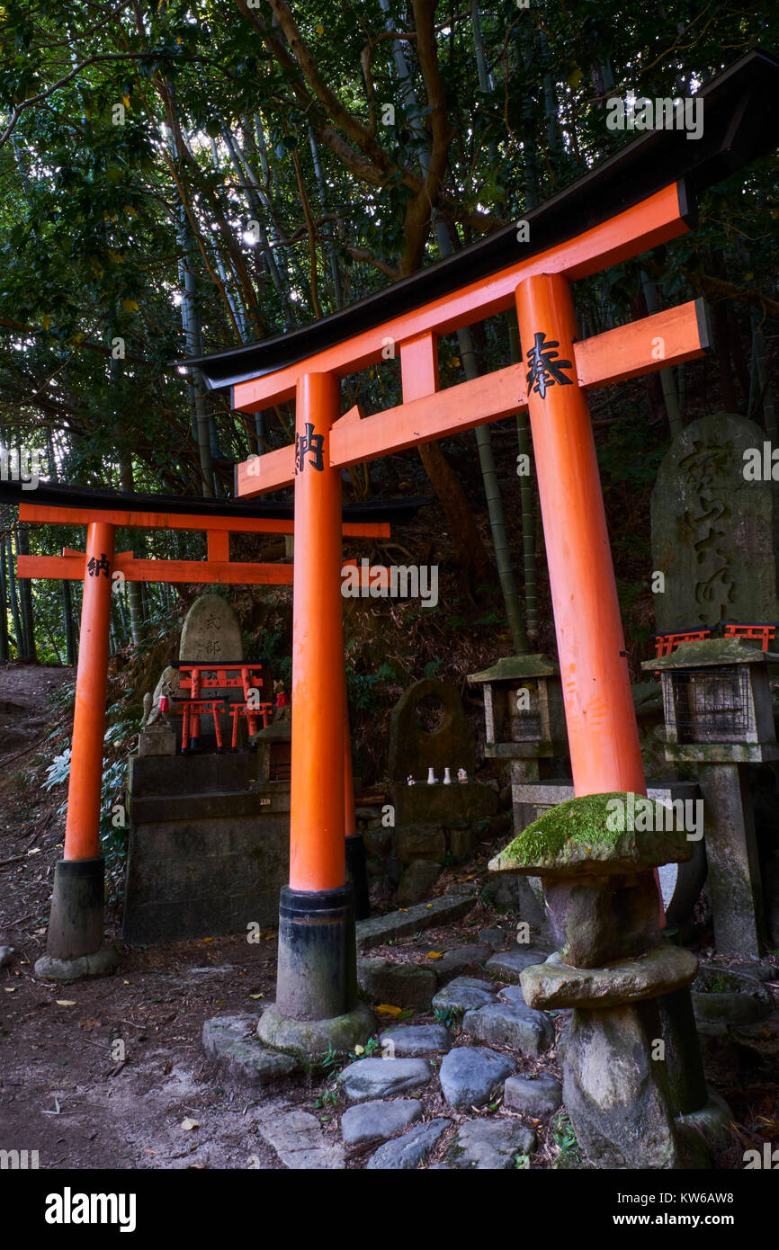 Giappone, isola di Honshu, la regione di Kansai, Kyoto Arashiyama, Fushimi Inari taisha-Tempio, santuario scintoista Foto Stock
