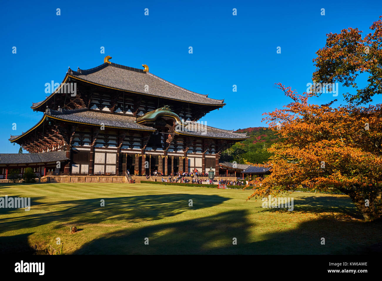 Giappone, isola di Honshu, la regione di Kansai, Nara, UNESCO World Heritage Site, il tempio Todaiji, Daibutsu den, il grande Buddha Foto Stock