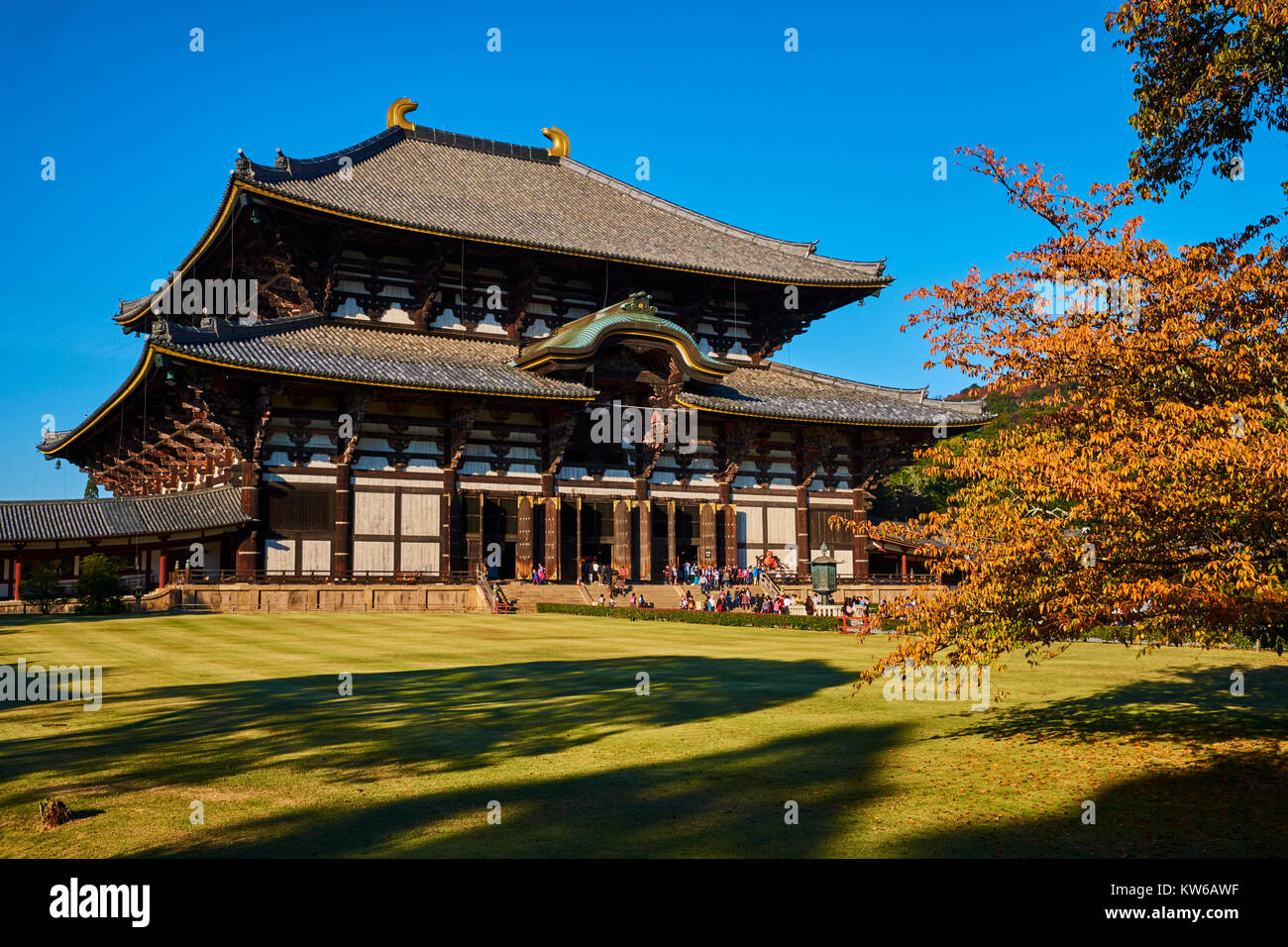 Giappone, isola di Honshu, la regione di Kansai, Nara, UNESCO World Heritage Site, il tempio Todaiji, Daibutsu den, il grande Buddha Foto Stock
