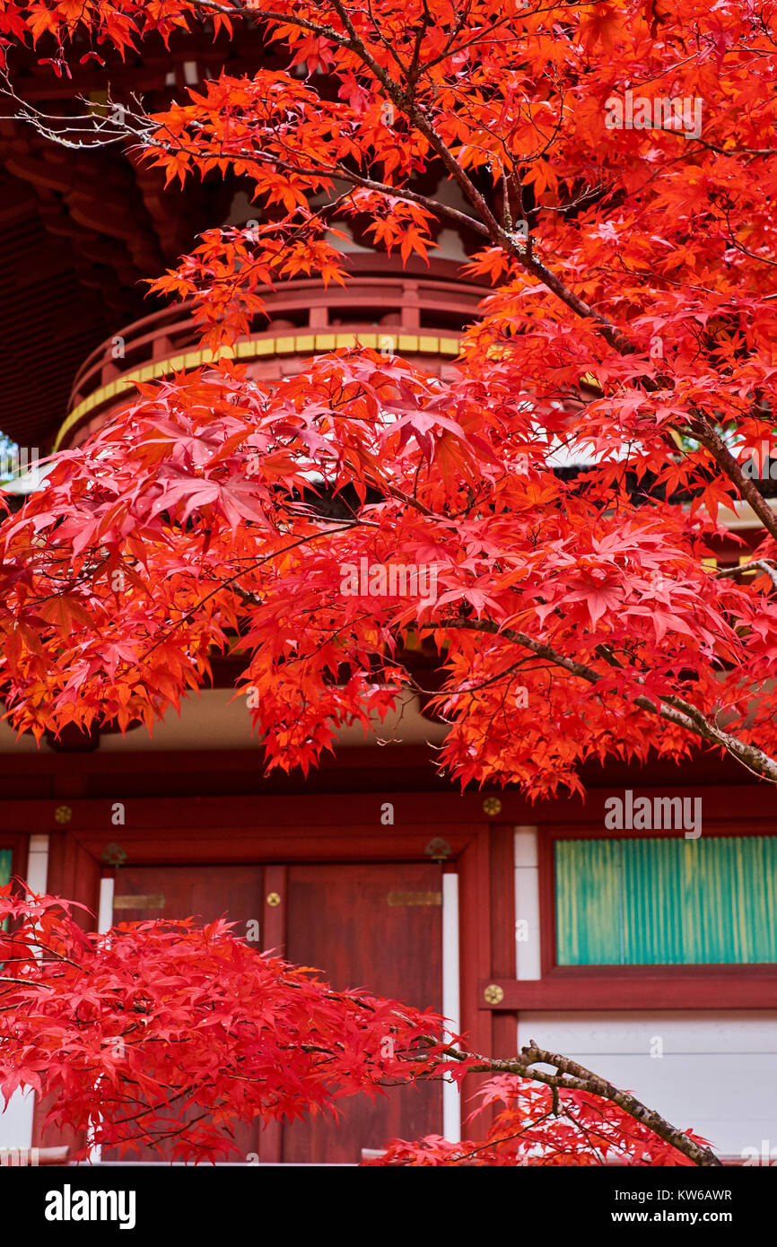 Giappone, Honshu, Wakayama, Kumano Kodo pellegrinaggio sentiero, Koya San, Garan, tempio buddista, iam a pagoda Foto Stock