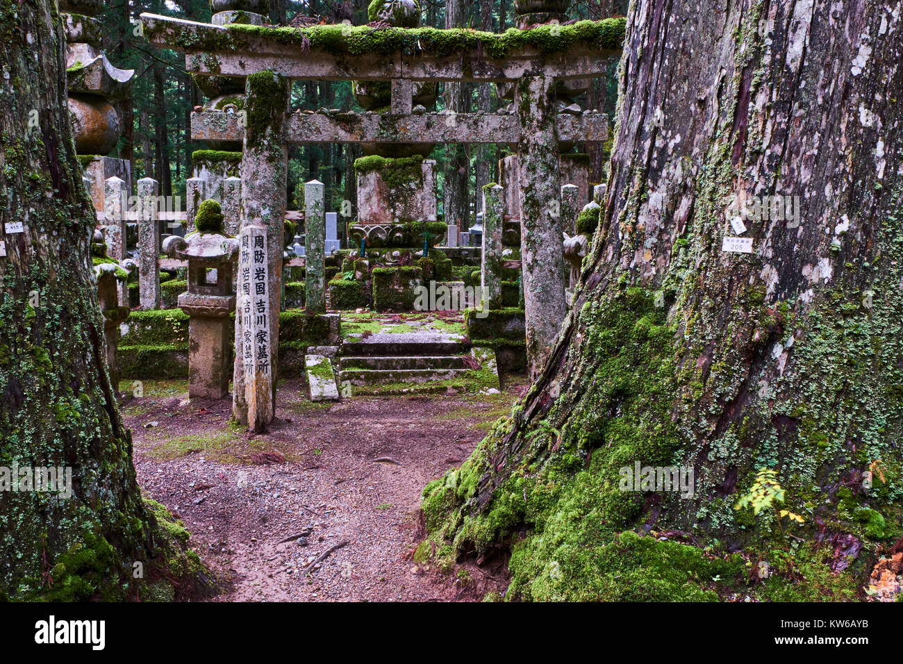 Giappone, Honshu, Wakayama, Kumano Kodo pellegrinaggio sentiero, Koya San, Oku no, buddista cimitero con lapidi buddista Foto Stock