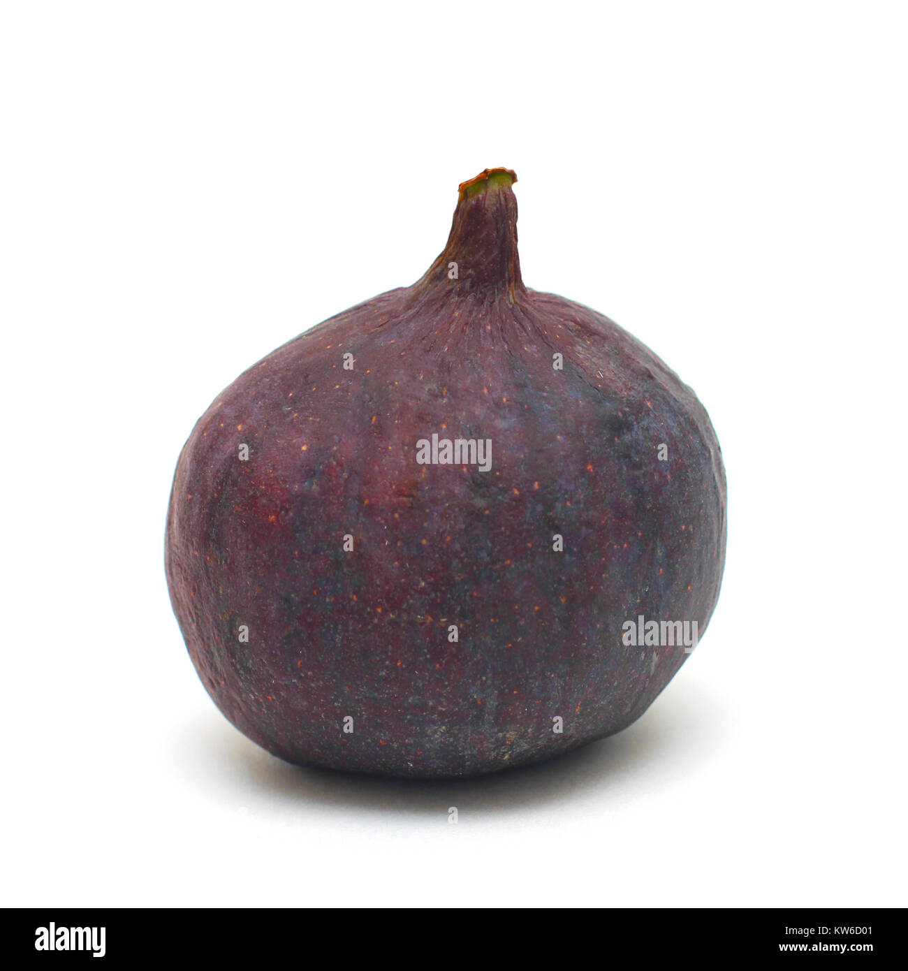 Fig isolato su bianco Foto Stock