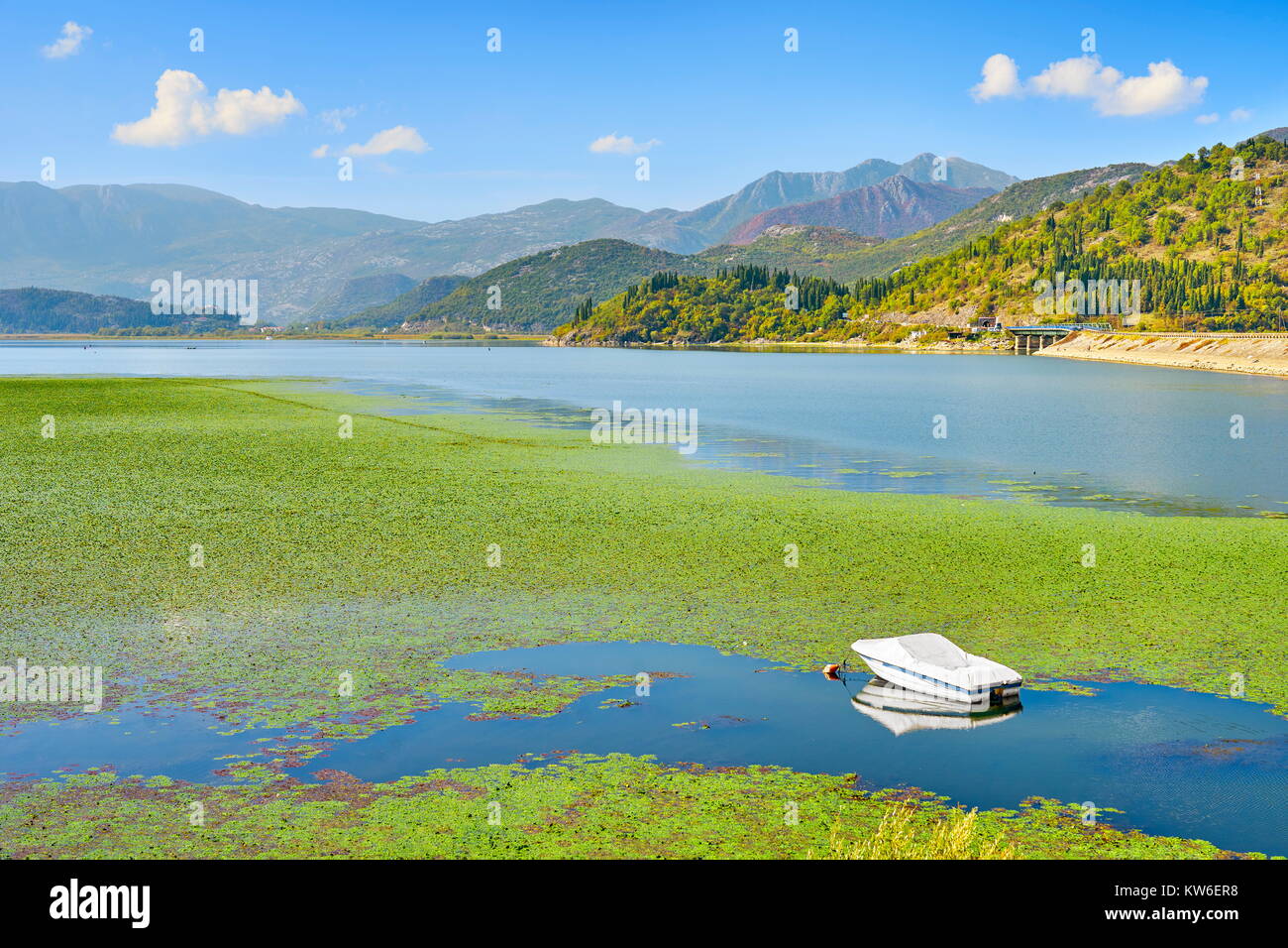 Lago di Skadar, Montenegro Foto Stock
