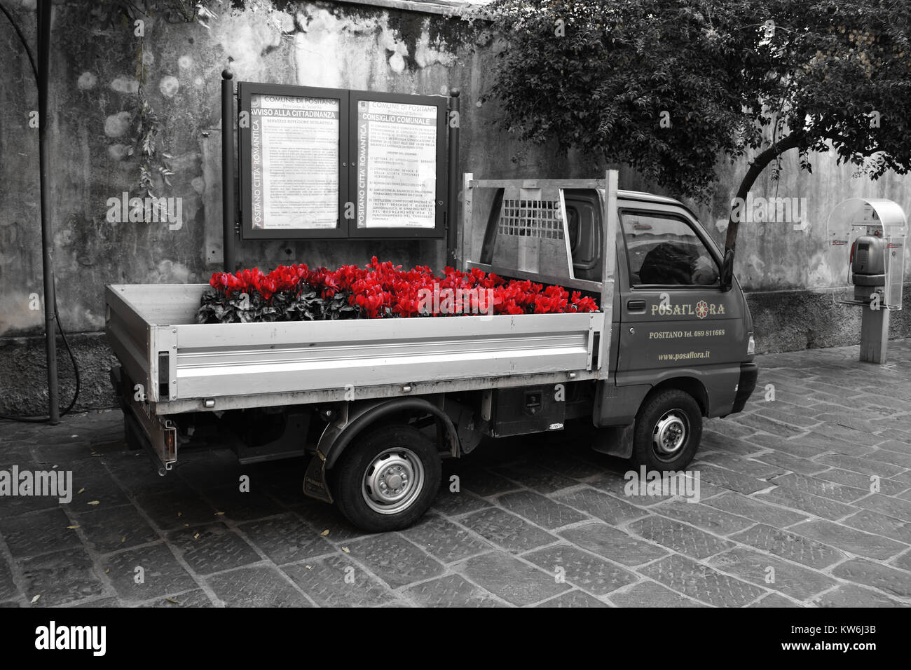 Bloomin bella Foto Stock