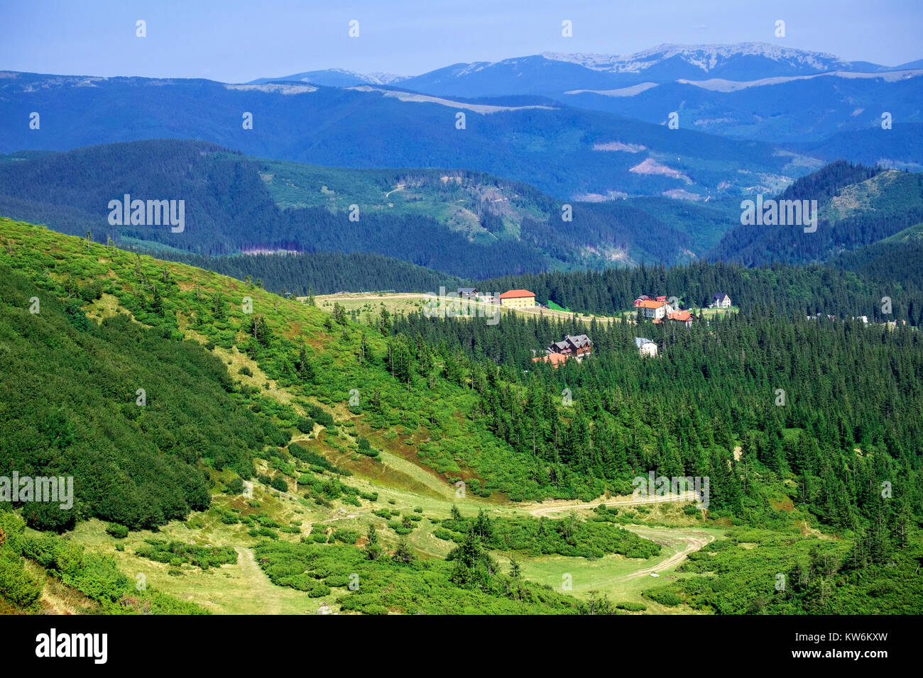 Foreste Di Conifere Immagini e Fotos Stock Alamy