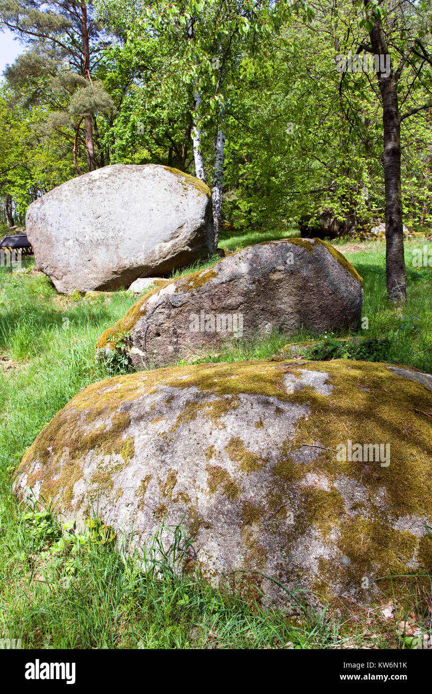 Paesaggio con molte rocce granitiche dall età della pietra, pellegrinaggio spirituale posto, villaggio Petrovice - Husova kazatelna, Central Bohemian Region, Czech rep Foto Stock