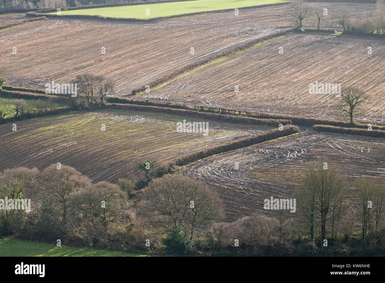 Terreni agricoli in North Devon, Regno Unito, saturato dopo un periodo di pioggia alta Foto Stock