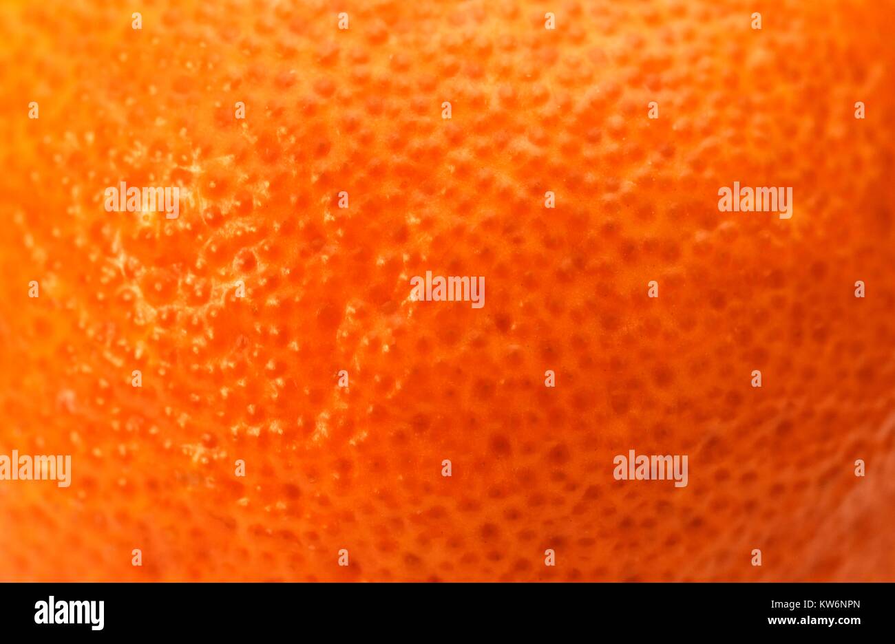 Arancione sfondo satsuma Foto Stock
