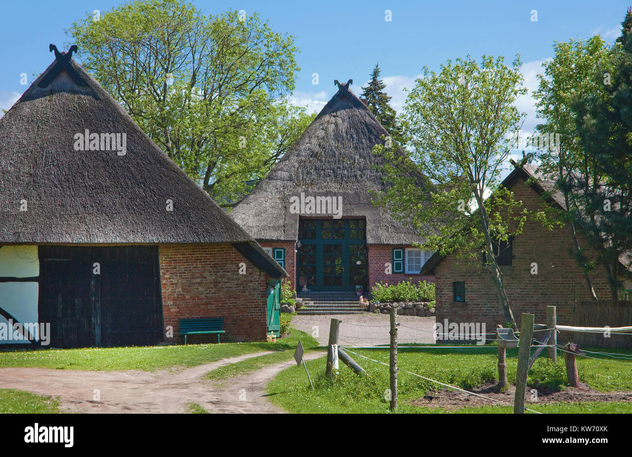 Colonia di artisti, case col tetto di paglia al villaggio Ahrenshoop, Fishland, Meclemburgo-Pomerania, Mar Baltico, Germania Foto Stock