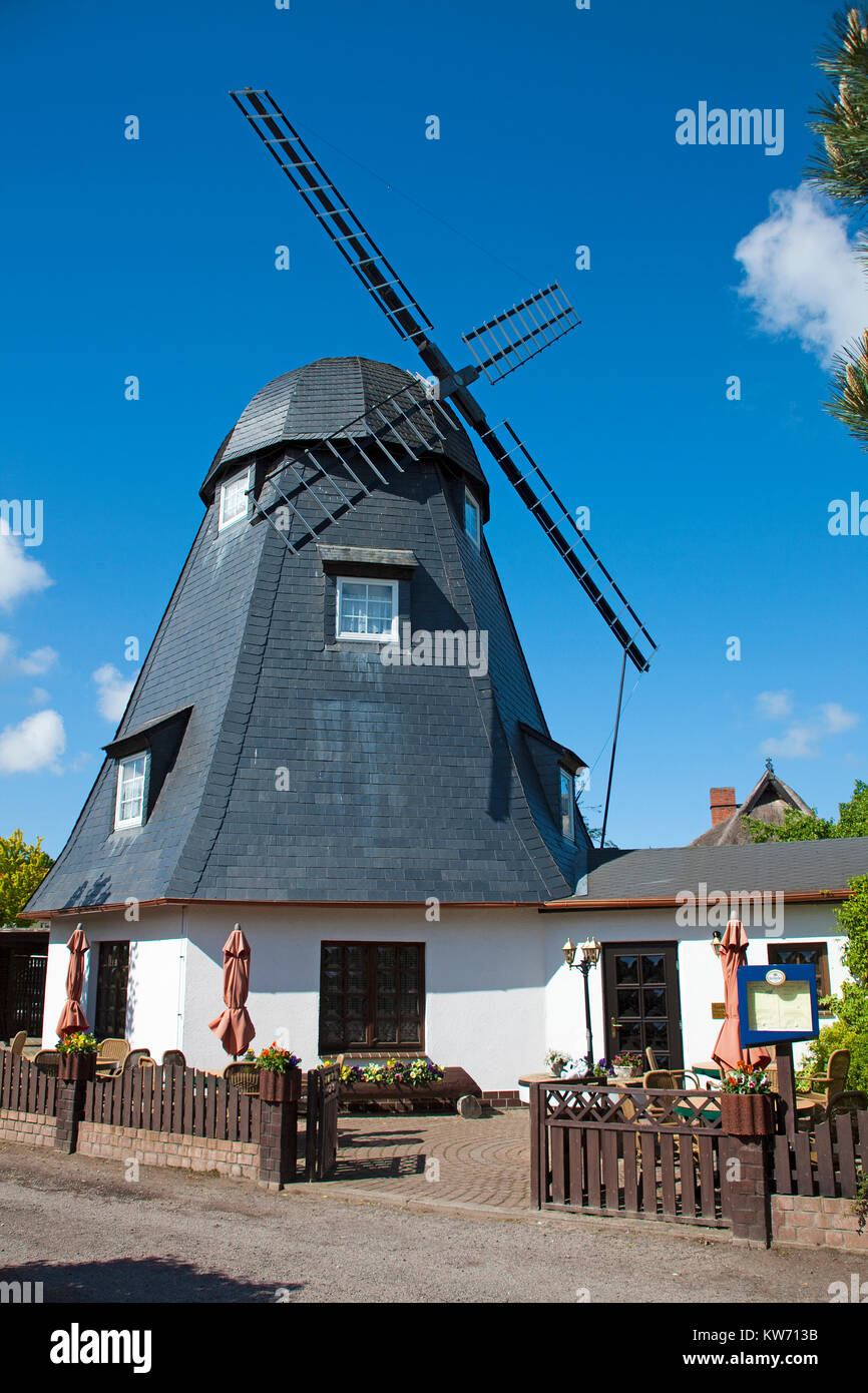 Il ristorante e il Cafe Muehlenstube' in un vecchio mulino, villaggio nato a Darss, Fischland, Meclemburgo-Pomerania, Mar Baltico, Germania, Europa Foto Stock