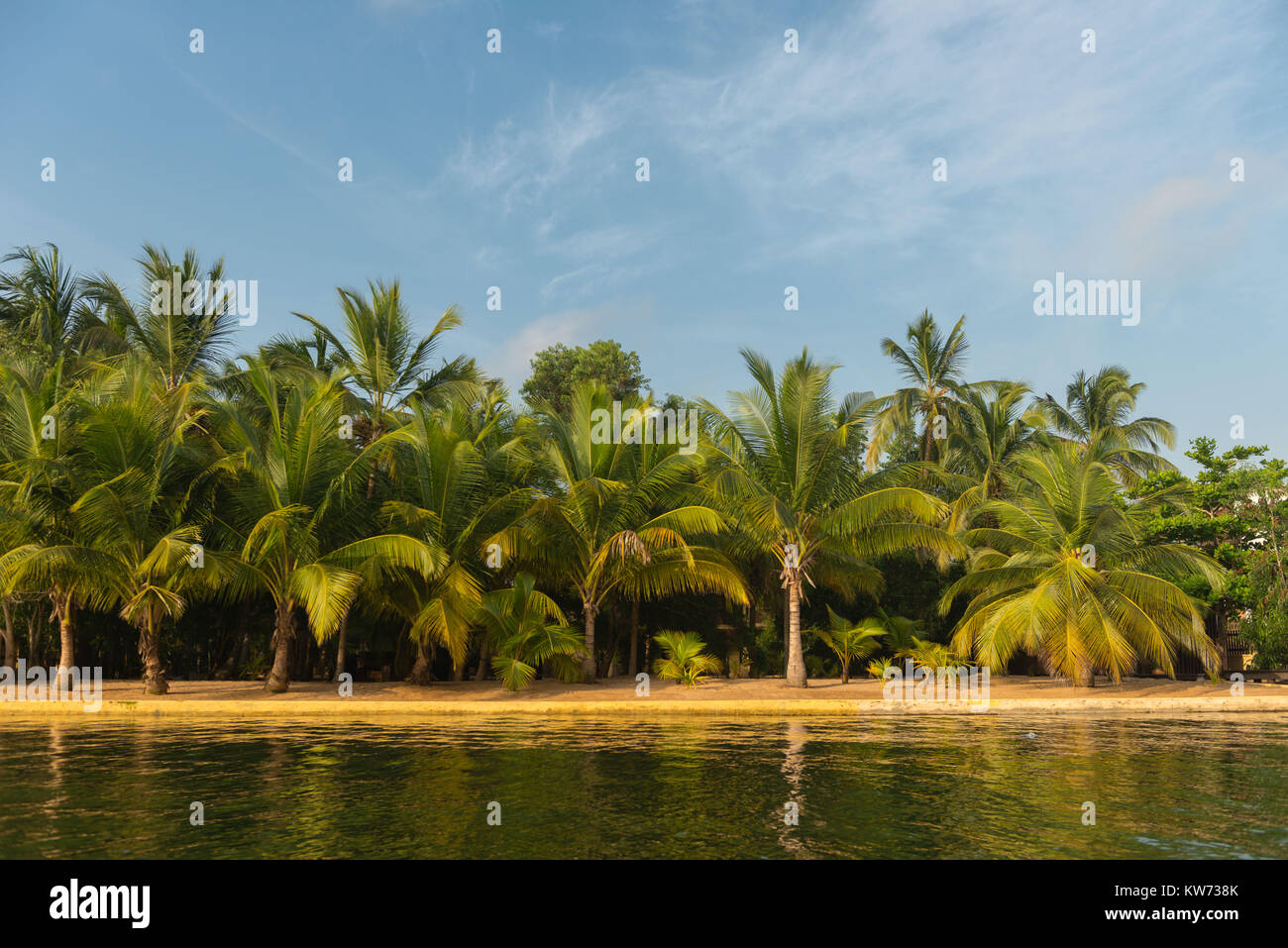 Spiaggia solitaria con palme di cocco lungo il fiume Volta, Ada Foah, Ghana Foto Stock