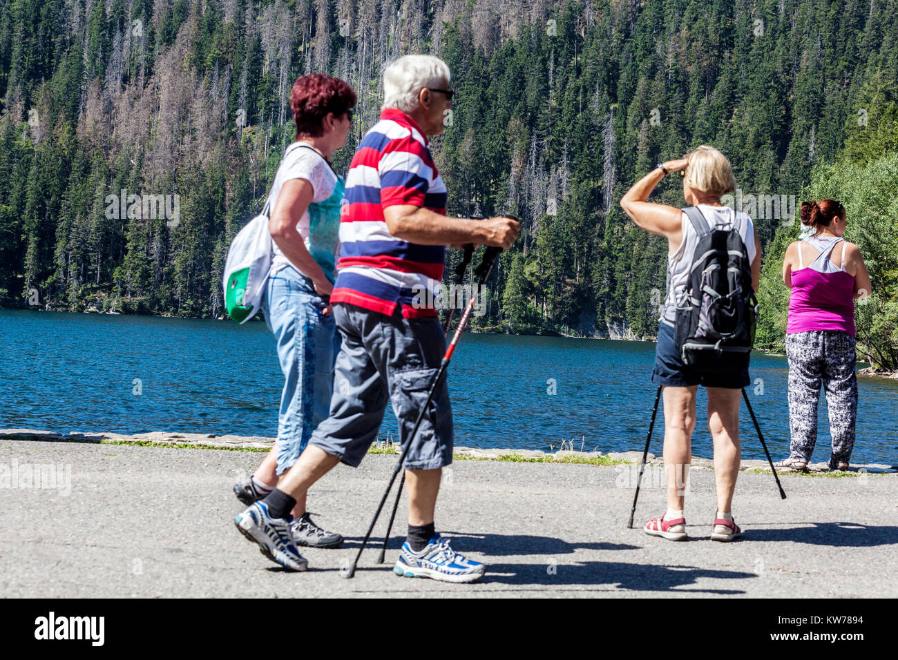 Persone sulle rive del Lago Nero, Sumava Parco Nazionale, Repubblica Ceca turisti Foto Stock