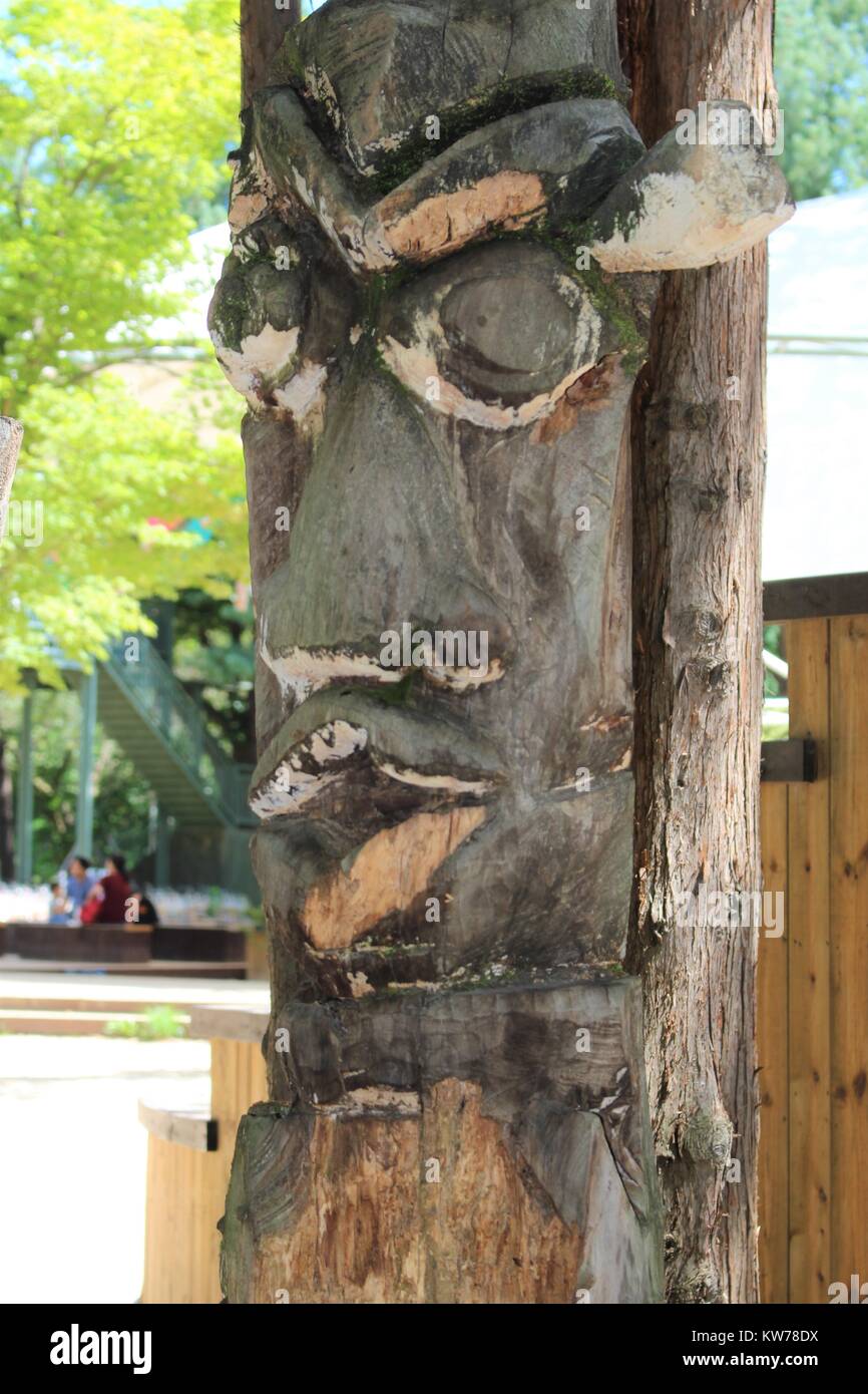 Il carving su albero Foto Stock
