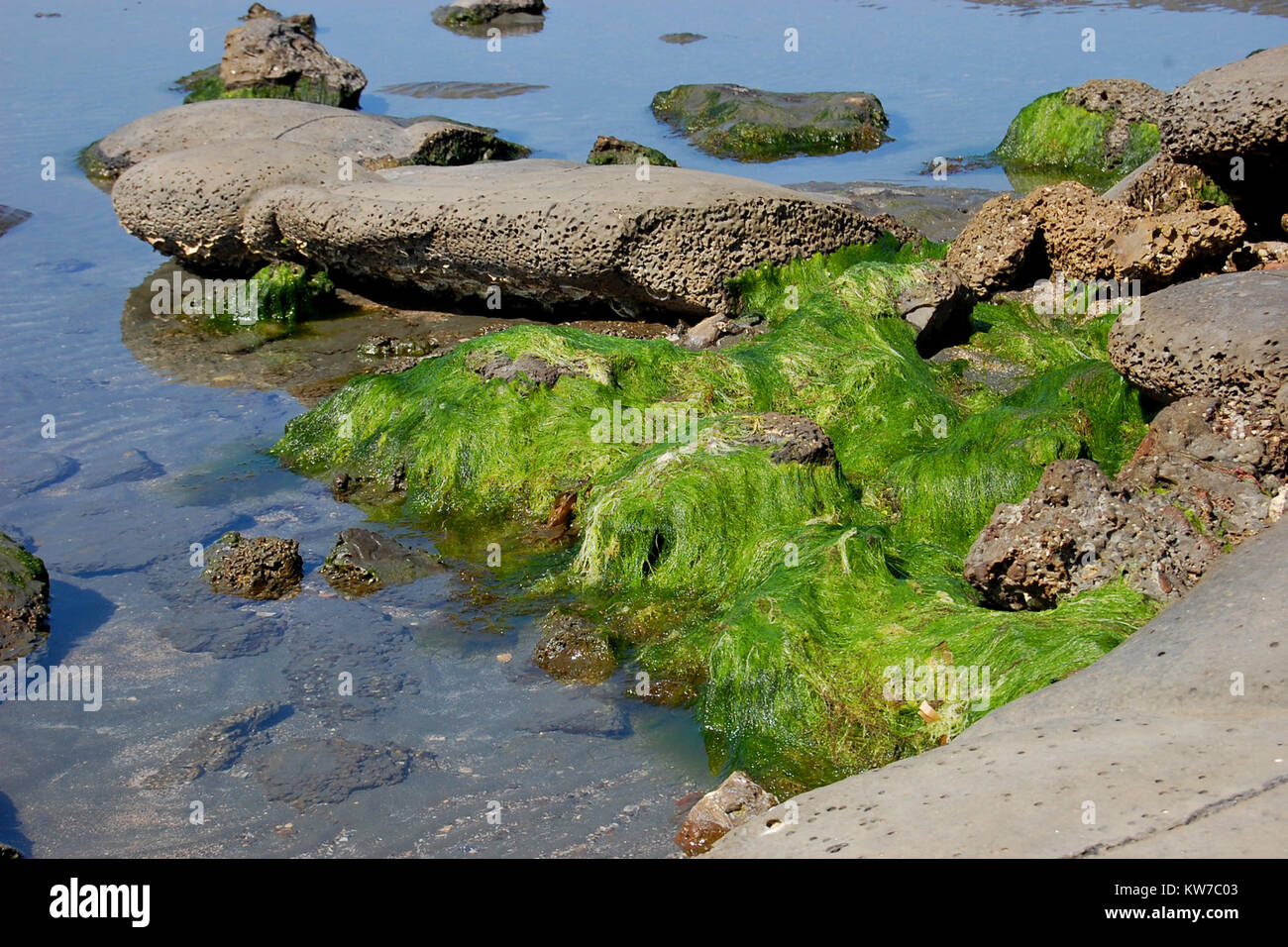 Saint Martin isola in Bangladesh Foto Stock