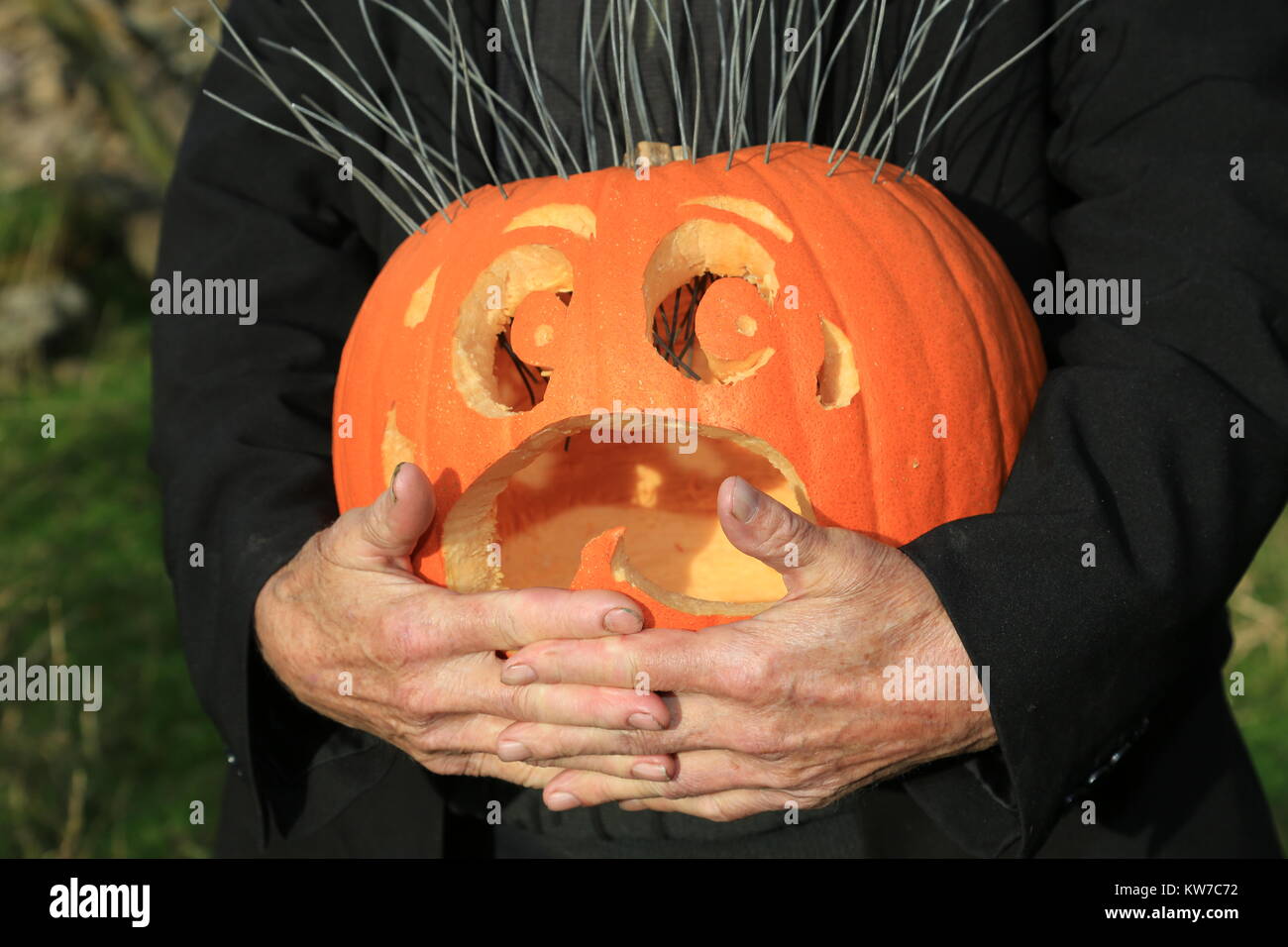 Uomo in possesso di una zucca scolpita in Co. Kerry, Irlanda a Halloween. Foto Stock
