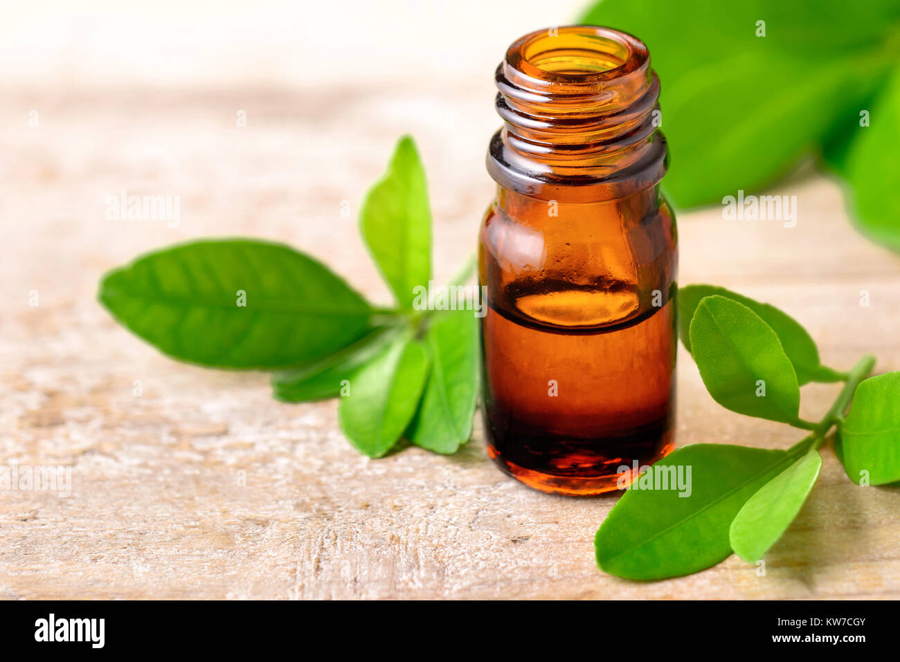 Petitgrain fresche foglie e Petitgrain olio sul pannello di legno Foto Stock