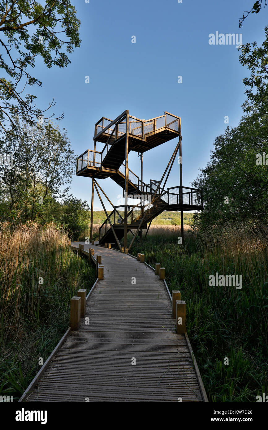 Leighton Moss RSPB Riserva; Sky Tower Lancashire Foto Stock