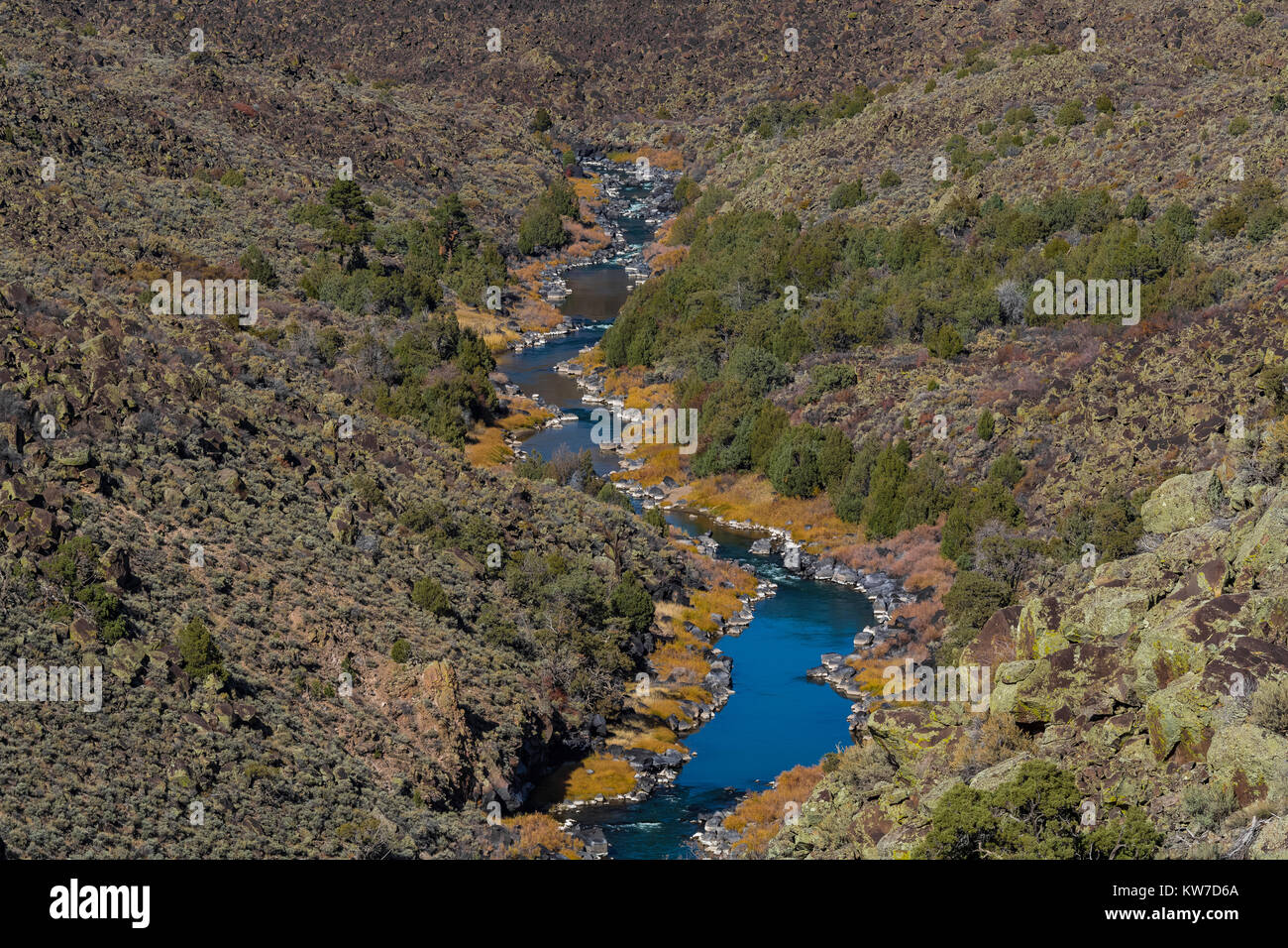 Rio Grande nei fiumi selvaggi zona di Rio Grande del Norte Monumento Nazionale vicino a Taos, Nuovo Messico, STATI UNITI D'AMERICA Foto Stock