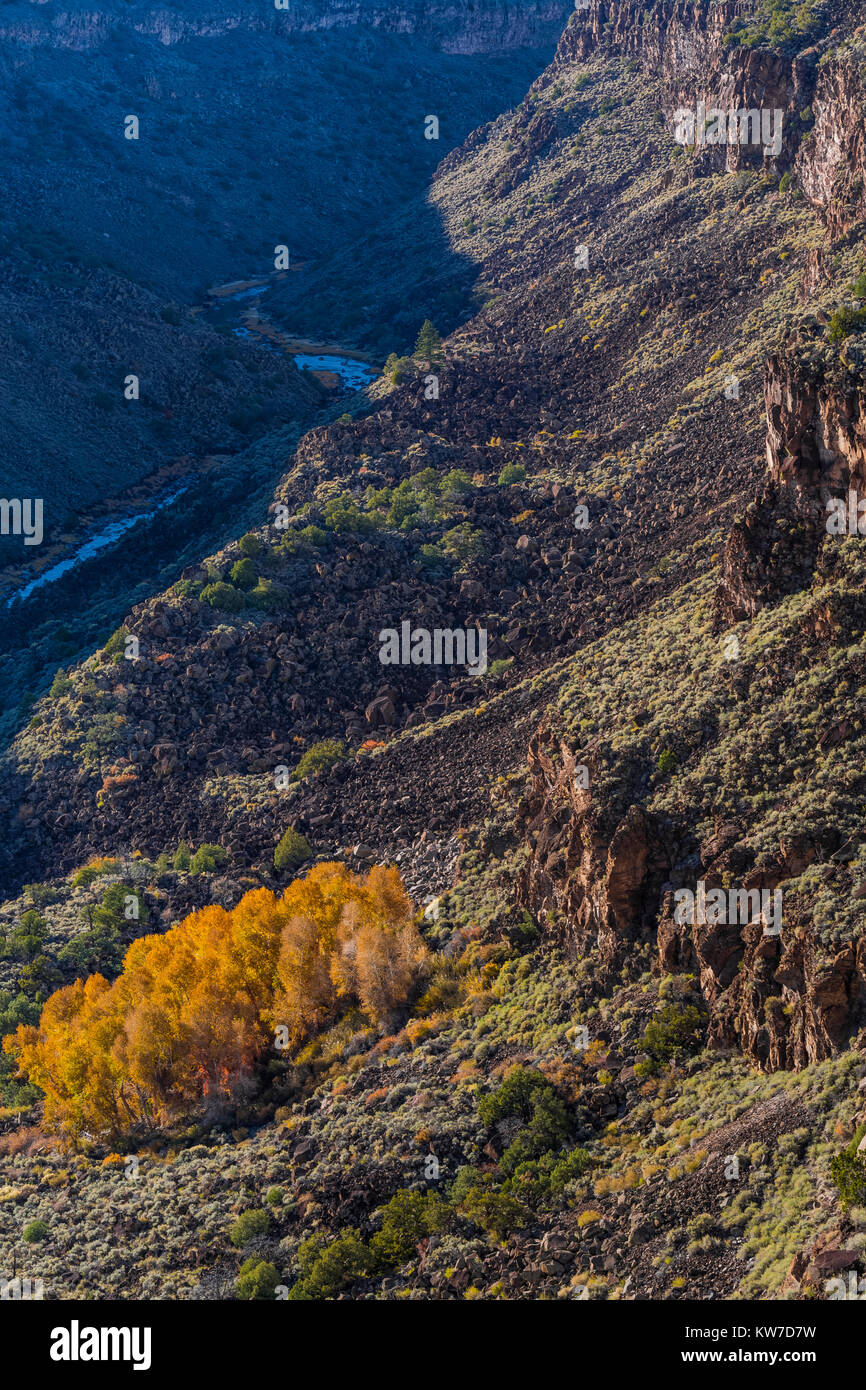 Vista del Rio Grande Gola da La Junta punto nei fiumi selvaggi zona di Rio Grande del Norte Monumento Nazionale vicino a Taos, Nuovo Messico, STATI UNITI D'AMERICA Foto Stock