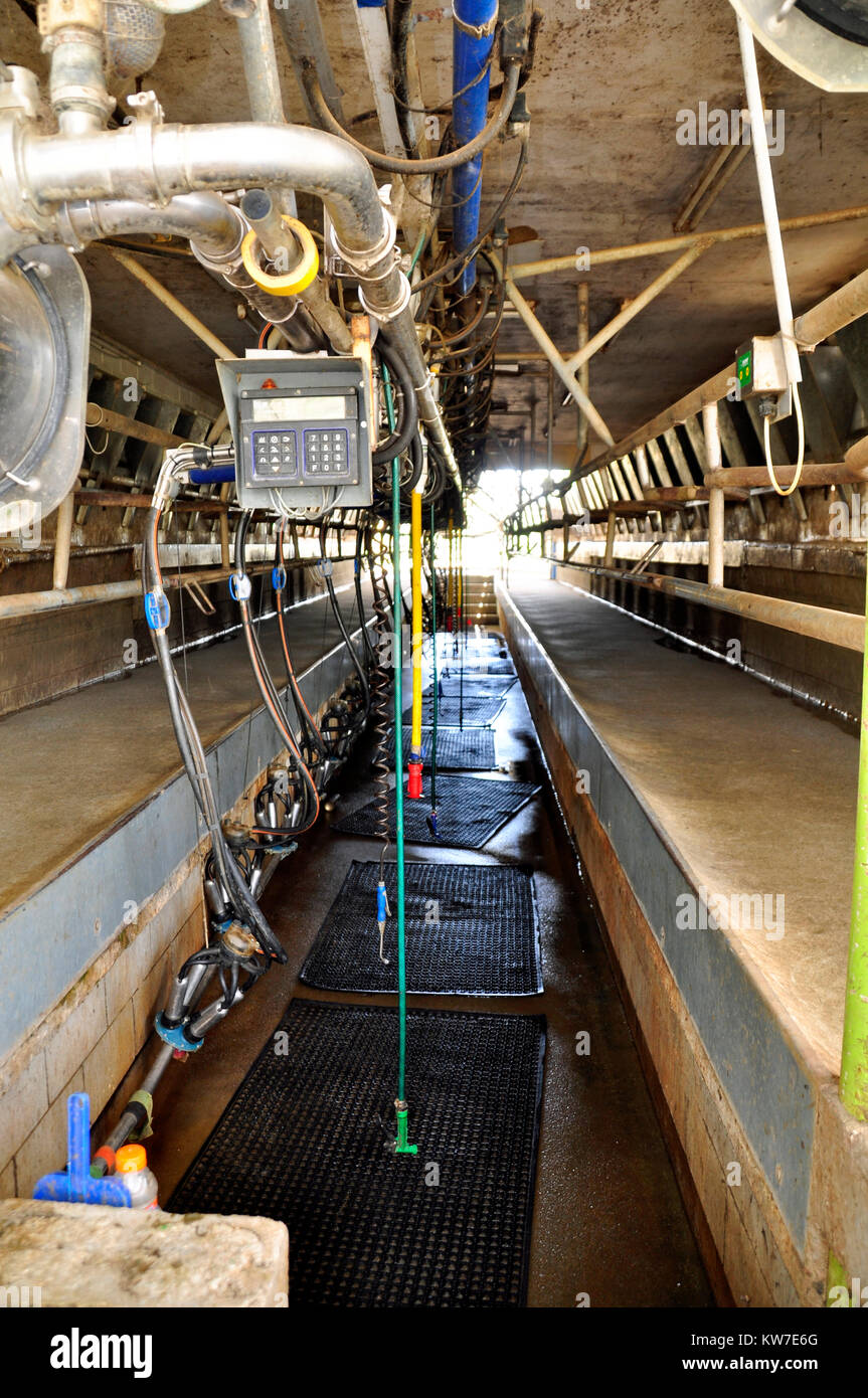 Caseificio a spina di pesce Foto Stock