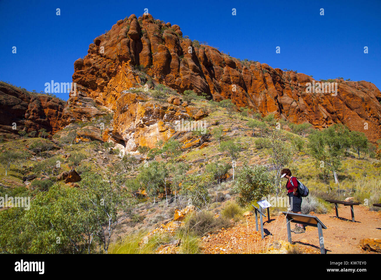 Pasticciare Bungles, Parco Nazionale di Purmululu, Kimberley, Australia: il paesaggio del settore settentrionale del pasticciare Bungles. Foto Stock