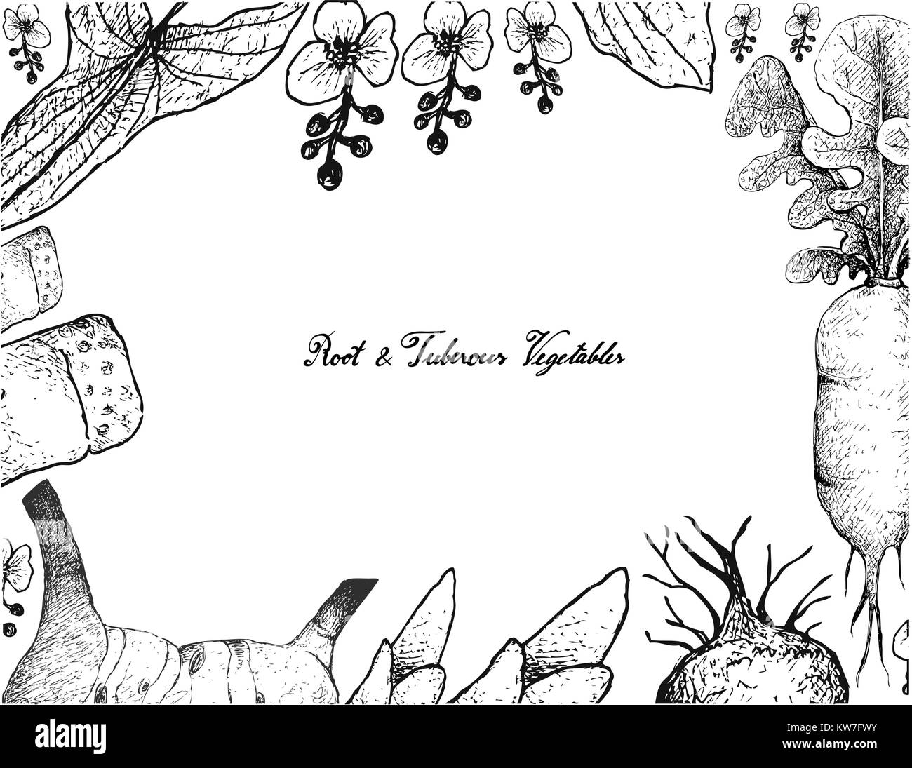 Radici tuberose e verdure, illustrazione Telaio del lato Bozzetto di Galangal, Daikon, latifoglie Arrowhead e bambù piante isolate su Whi Illustrazione Vettoriale