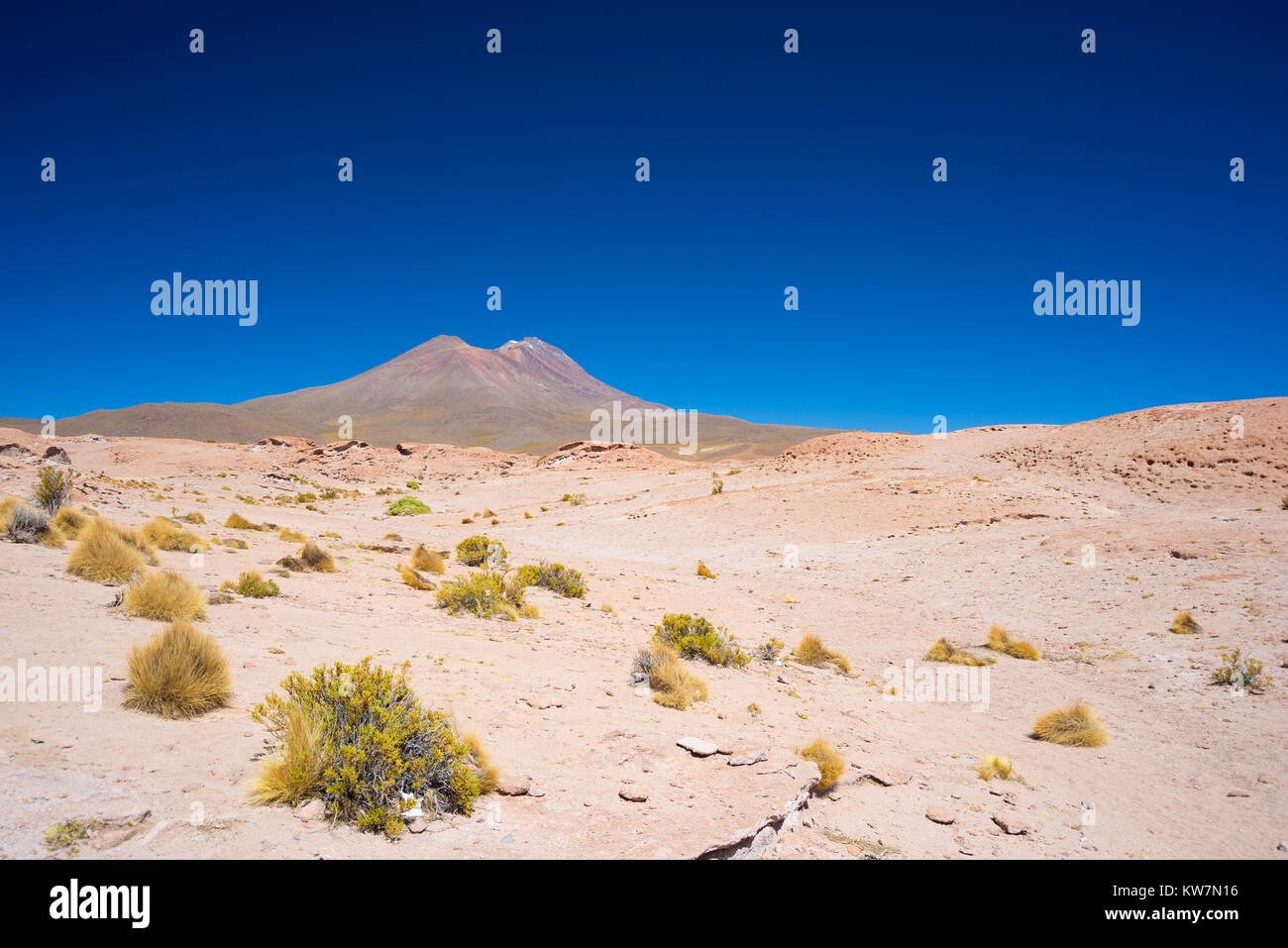 Deserto roccioso e fumante vulcano in distanza, su altipiani andini, tra le più importanti destinazioni di viaggio in Bolivia. Cielo chiaro in dayli Foto Stock