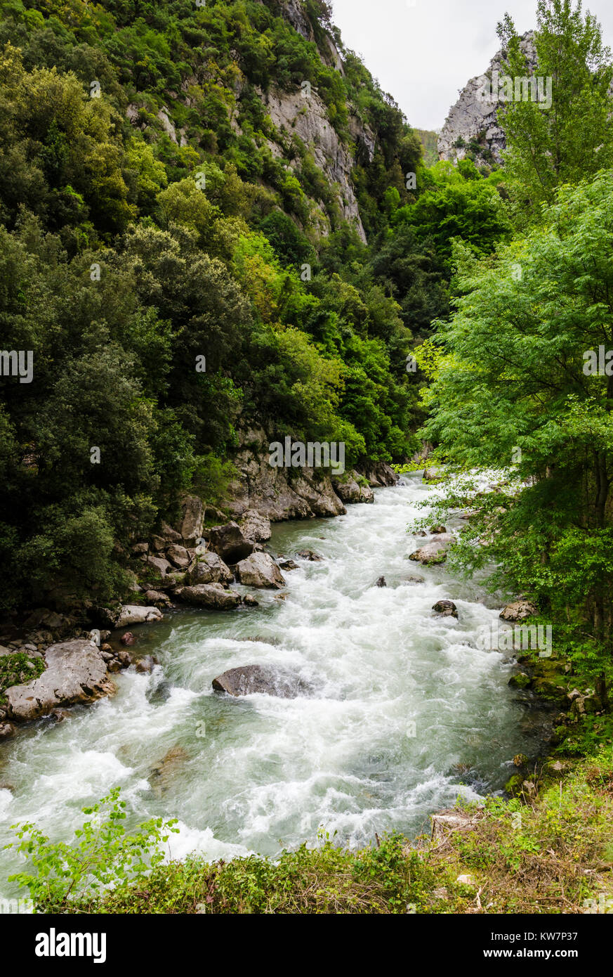 Fiume Deva sulla delle Asturie e della Cantabria frontiera nel nord della Spagna Foto Stock