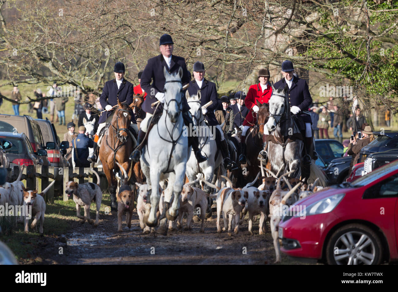 Boxing day legal trascinare la caccia con segugi a Petworth, West Sussex (non un fox hunt) Foto Stock