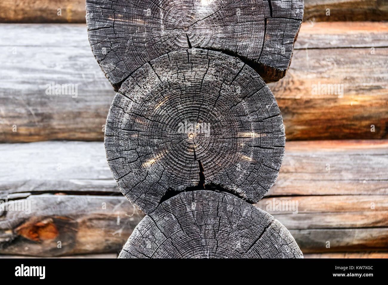 Dettaglio di un muro costruito di weathered tronchi di legno disposte trasversalmente su ogni altra. Foto Stock