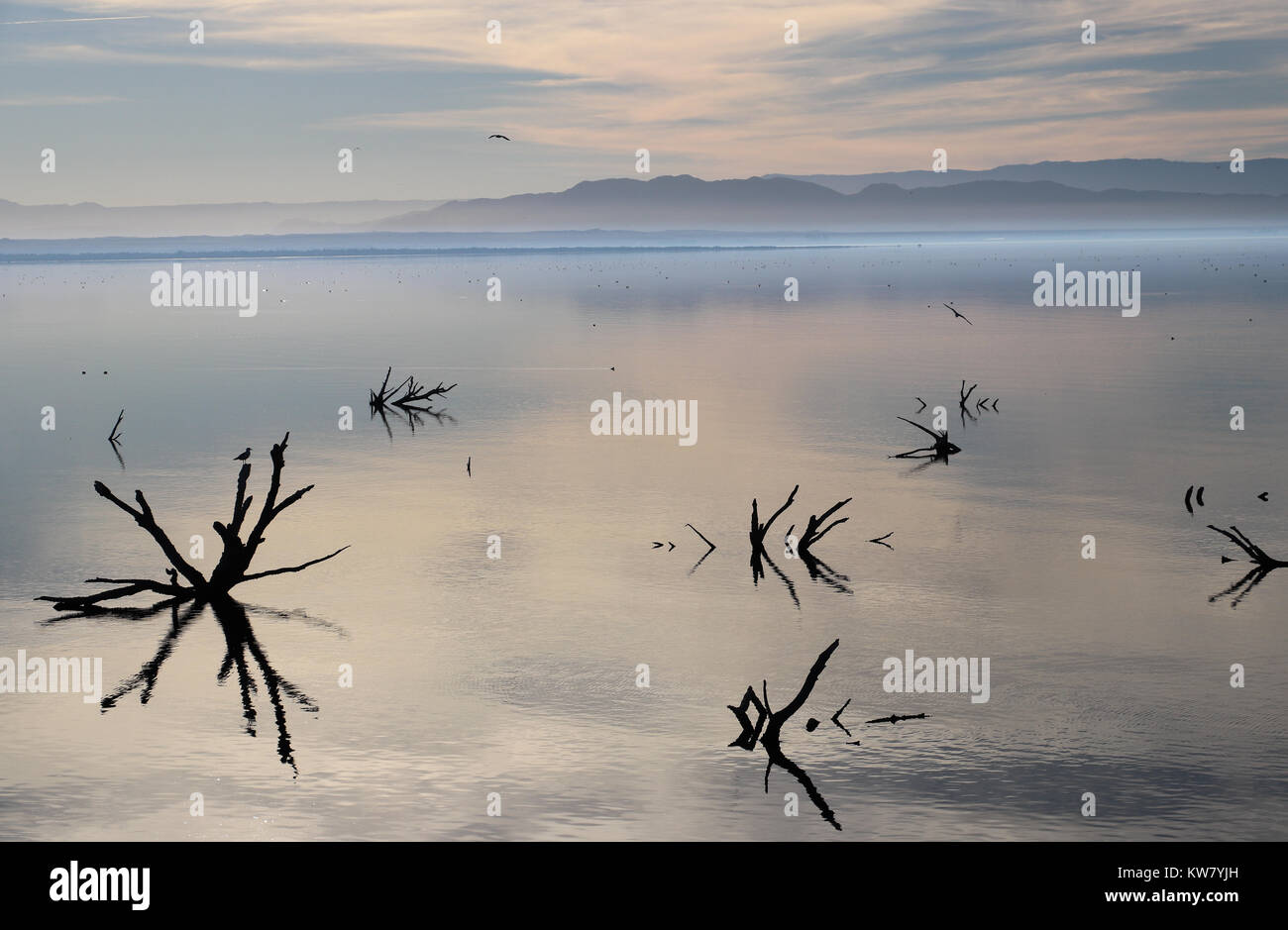 Nel tardo pomeriggio vista attraverso la bellissima Salton Sea, un corpo morente d'acqua. La superficie a specchio che riflette le nuvole,sky, montagne, allagata rami nero. Foto Stock