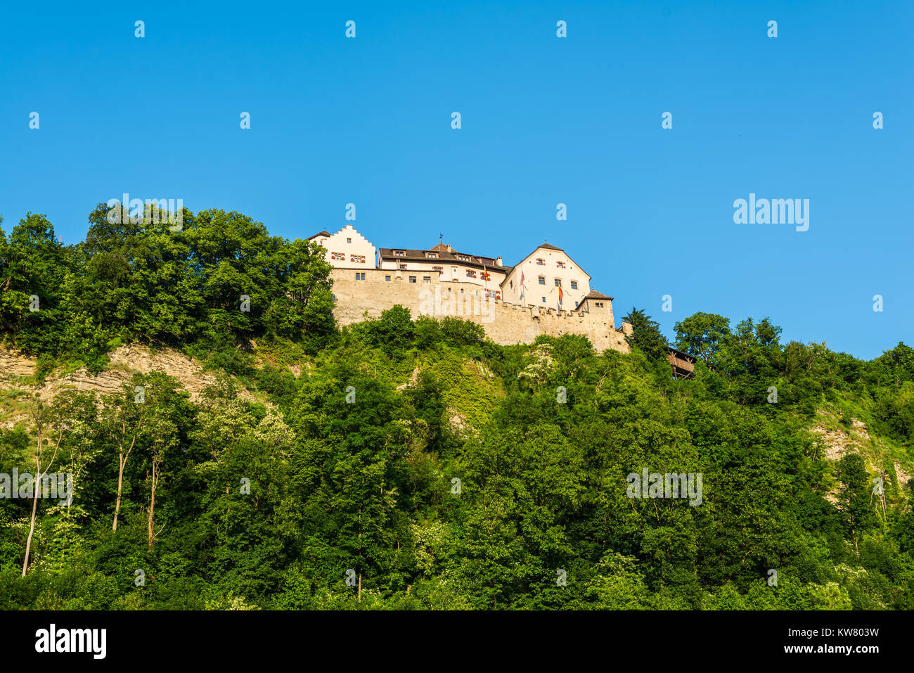 Vaduz, Liechtenstein - 28 Maggio 2016: Il Castello di Vaduz nel Liechtenstein. Principato del Liechtenstein è uno dei più piccoli del mondo paesi. È Foto Stock