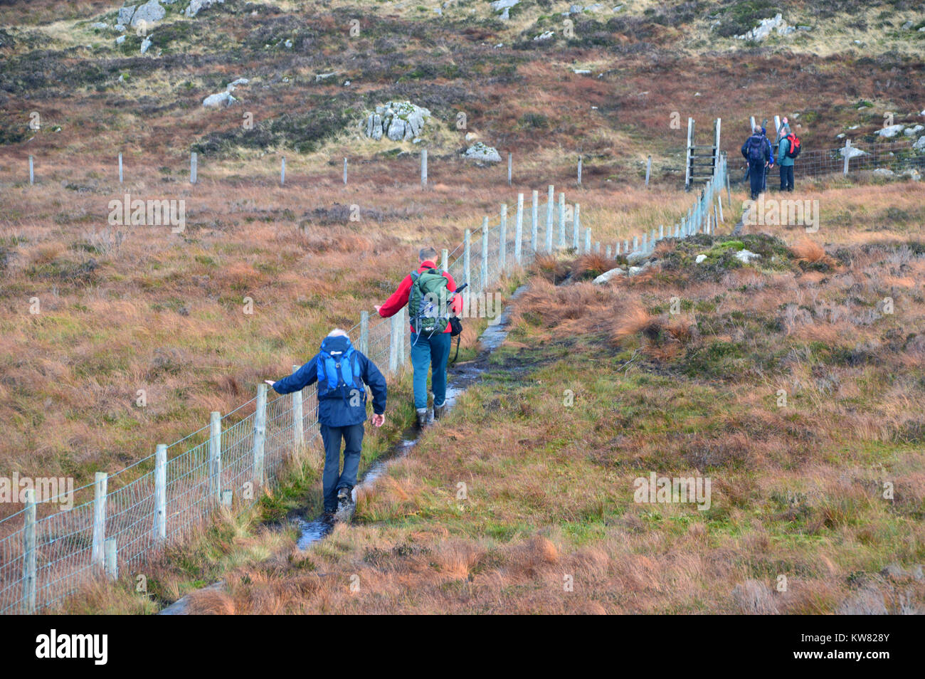 Hillwalkers camminare a fianco della recinzione in tra le montagne di gallese di Glasgwm & Aran Fawddwy nel Snowdownia Parco nazionale del Galles, UK. Foto Stock