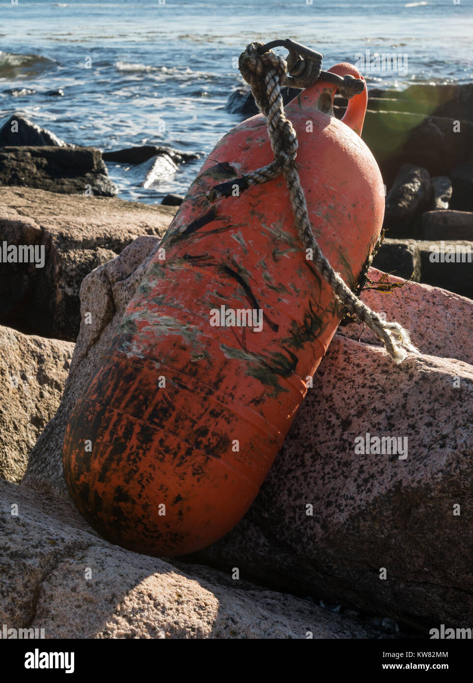 Meteo battuto Bouy sulle rocce lungo la costa atlantica nel Maine Foto Stock