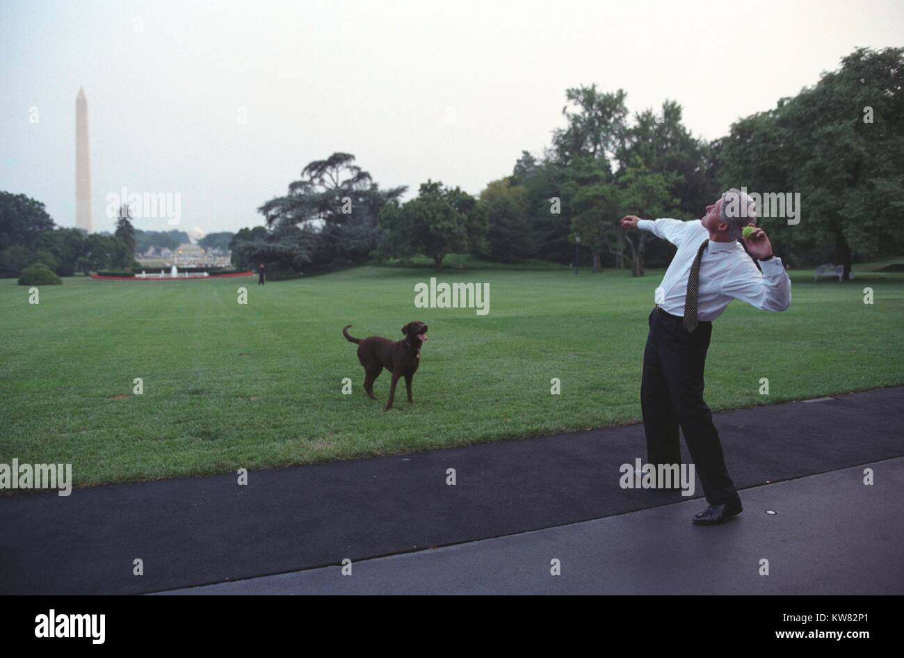 Il presidente William Jefferson Clinton gettando palla da tennis per il suo pet, Buddy il cane, sulla Casa Bianca prato, 11 luglio 1998. Foto Stock