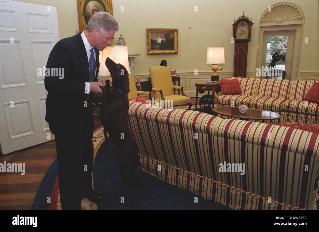 Il presidente William Jefferson Clinton giocando con Buddy il cane nel suo ufficio, 4 marzo, 1998. Foto Stock