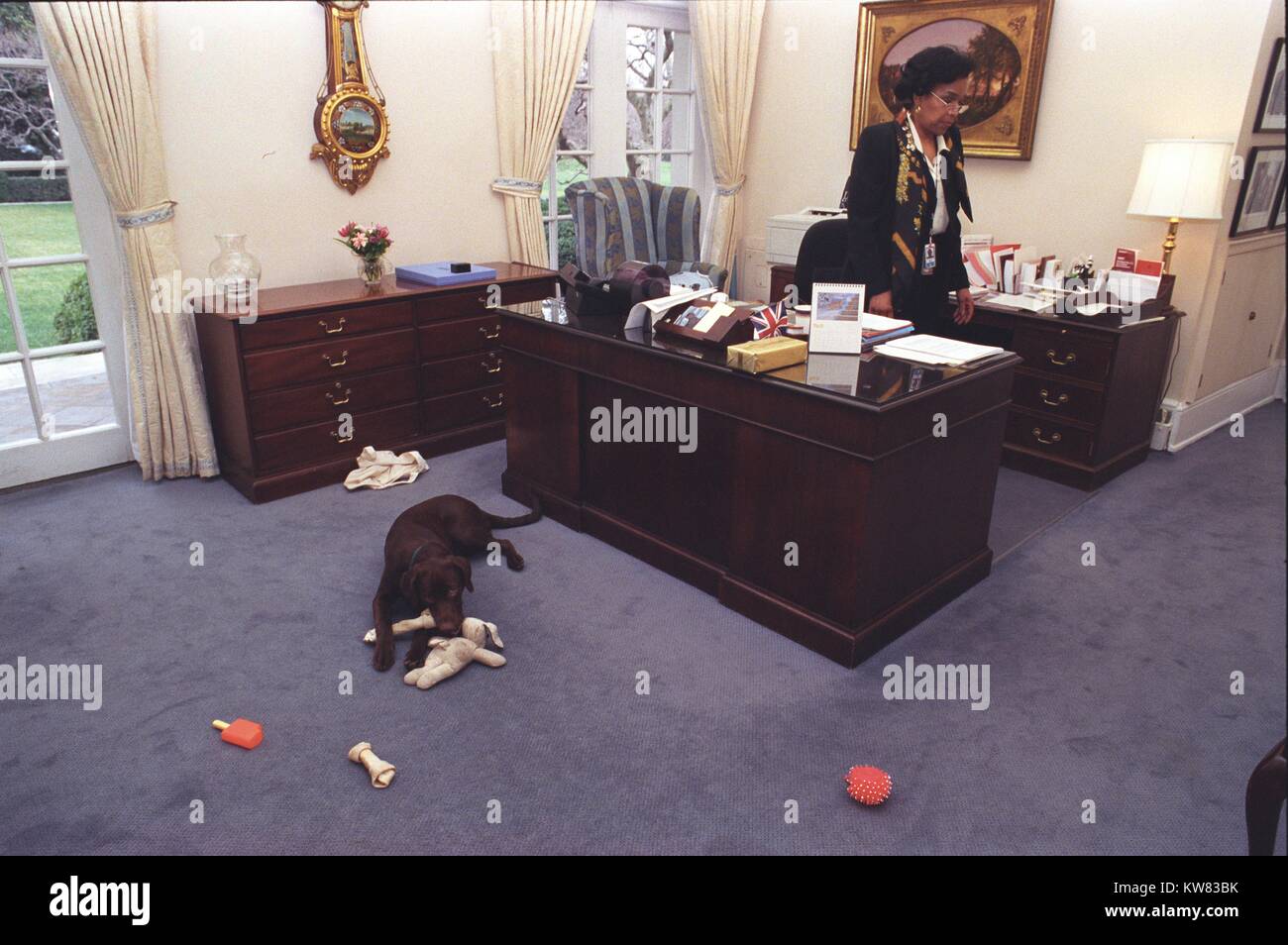 Buddy cane, il primo cucciolo di famiglia, giocando con masticare giocattoli di fronte a Betty Currie's desk in esterno Ufficio Ovale, Casa Bianca, 6 febbraio 1998. Foto Stock